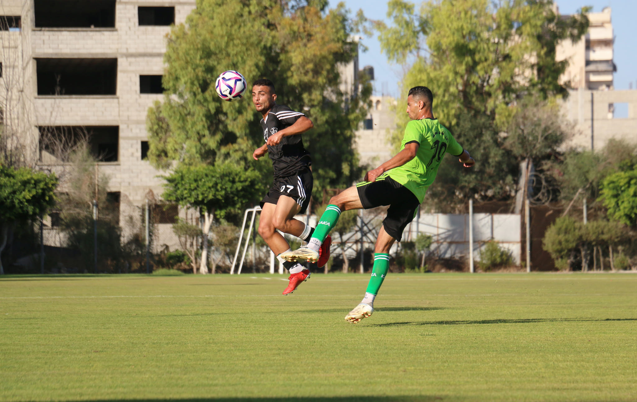 الصداقة والشجاعية 3 | 